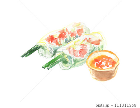 水彩で描いた生春巻きのイラスト 111311559