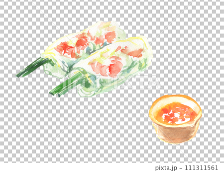水彩で描いた生春巻きのイラスト 111311561
