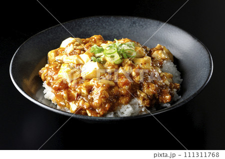 お豆腐たっぷりの長葱乗せ麻婆丼を黒背景で撮影 111311768