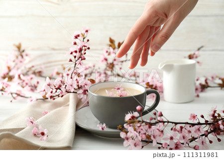 Spring twigs with flowers with a cup of hot drink, on a light wooden background. Spring twigs with flowers with a cup of hot drink, on a light wooden background. 111311981