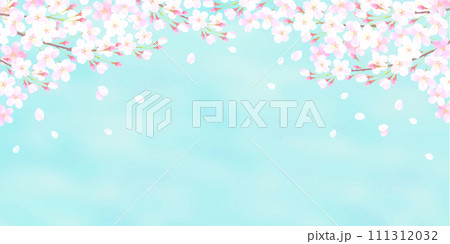 桜の花と青空の背景イラスト 桜の花と青空の背景イラスト 111312032