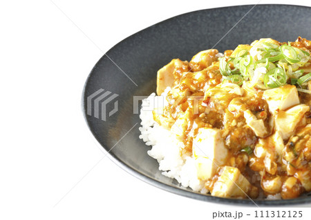 お豆腐たっぷりの長葱乗せ麻婆丼を白背景で撮影 お豆腐たっぷりの長葱乗せ麻婆丼を白背景で撮影 111312125