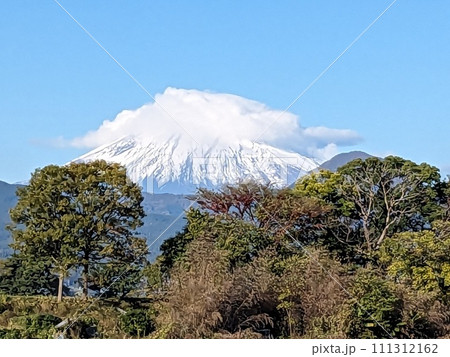 クラゲが富士山をのみこもうとしてます。たいへんだ。 クラゲが富士山をのみこもうとしてます。たいへんだ。 111312162
