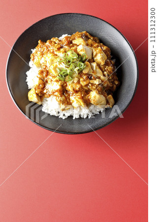 お豆腐たっぷりの長葱乗せ麻婆丼を俯瞰で撮影 お豆腐たっぷりの長葱乗せ麻婆丼を俯瞰で撮影 111312300