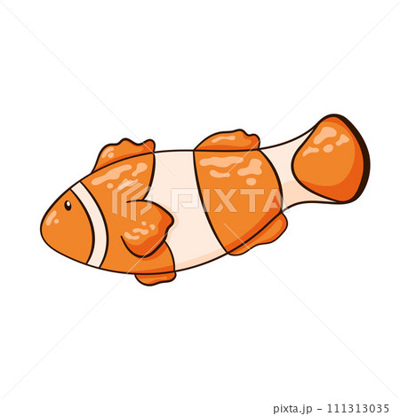 Coral undersea fish in cartoon, line art style. Tropical underwater clown fish aquatic creature. Simple flat design for kid illustration. Vector illustration isolated on a white background. 111313035