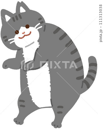太っているさくらねこ 太っているさくらねこ 111313038