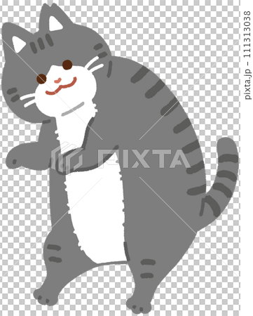 太っているさくらねこ 太っているさくらねこ 111313038