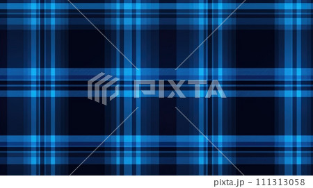 Blue Plaid Tartan Fabric Texture 111313058