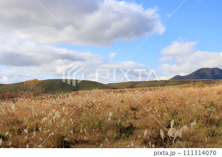 秋の草原 秋の草原 111314070