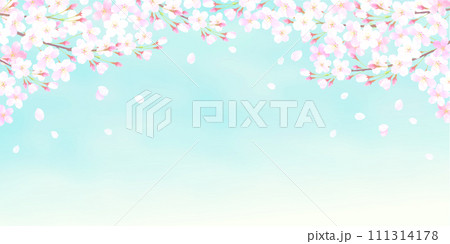 桜の花と青空の背景イラスト 111314178