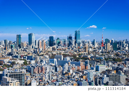 東京タワーと港区周辺の町並み 東京タワーと港区周辺の町並み 111314184