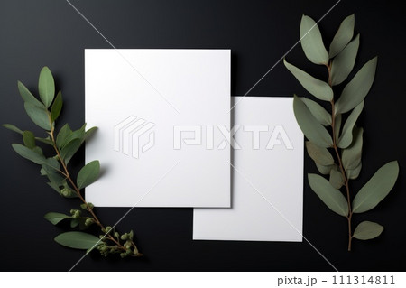 Blank Cards and Eucalyptus on Black Background Blank Cards and Eucalyptus on Black Background 111314811