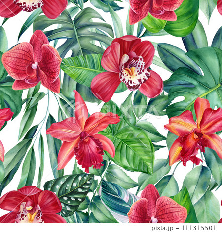 Tropical exotic leaves palm, orchid flowers and plants, floral background. Seamless pattern, watercolor summer wallpaper 111315501