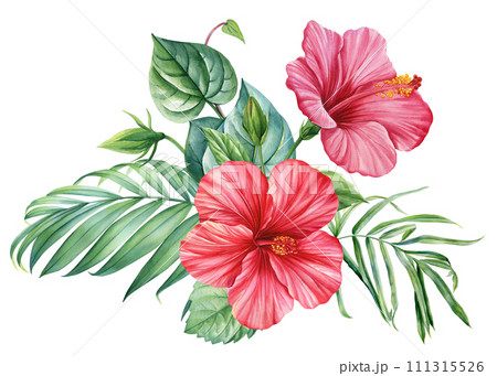 Tropical plant, palm leaf and red hibiscus flowers, jungle green leaves hand painted with watercolor, botanical painting Tropical plant, palm leaf and red hibiscus flowers, jungle green leaves hand painted with watercolor, botanical painting 111315526