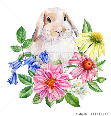 Rabbit and flower, baby bunny on isolated white background. Watercolor hand drawn illustration. Set of cute animals 111315537