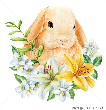 Little bunny and flowers on isolated white background, watercolor cute animal illustration, easter bunny. spring rabbit 111315571