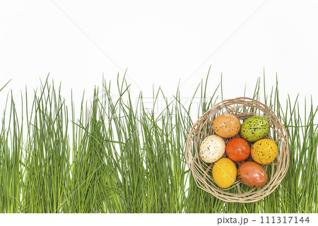 Happy easter holiday concept; Wicker basket with easter eggs on a green grass on a white background 111317144