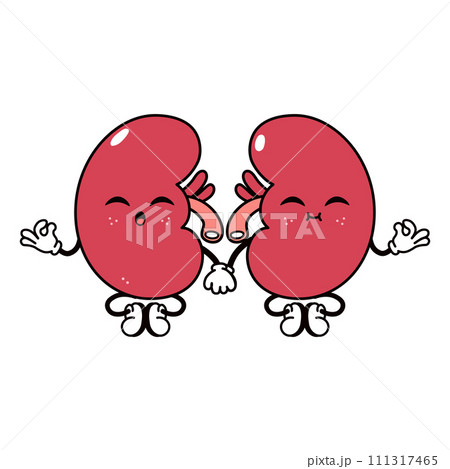 Kidneys doing yoga character. Vector hand drawn traditional cartoon vintage, retro, kawaii character illustration icon. Isolated on white background. Kidneys relax character 111317465