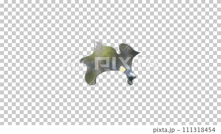 [Alpha Channel] 3D perspective projection of Kanagawa Prefecture that emphasizes the topography of Kamakura 111318454