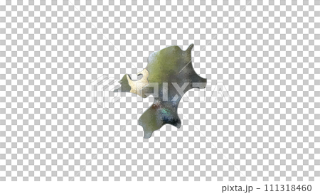 [アルファチャンネル]福岡の地形を強調する福岡県の3D透視投影図形 111318460