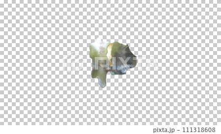 [アルファチャンネル]甲府の地形を強調する山梨県の3D透視投影図形 111318608