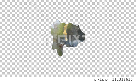 [阿爾法通道]強調甲府地形的山梨縣3D平衡投影 111318610