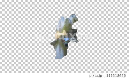 [アルファチャンネル]松本の地形を強調する長野県の3D平衡投影図形 111318626