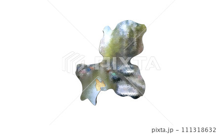 [アルファチャンネル]岐阜の地形を強調する岐阜県の3D透視投影図形 111318632