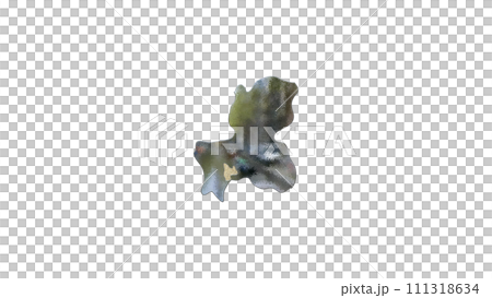 [Alpha Channel] 3D equilibrium projection of Gifu Prefecture that emphasizes the topography of Gifu 111318634