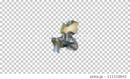 [アルファチャンネル]高山の地形を強調する岐阜県の3D平衡投影図形 111318642