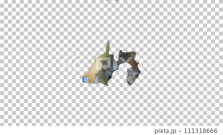 [Alpha Channel] 3D equilibrium projection of Shizuoka Prefecture that emphasizes the topography of Hamamatsu 111318666