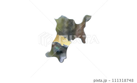 [アルファチャンネル]仙台の地形を強調する宮城県の3D透視投影図形 111318748