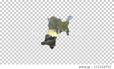 [アルファチャンネル]仙台の地形を強調する宮城県の3D平衡投影図形 111318752