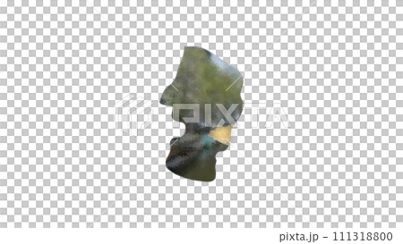 [アルファチャンネル]山形の地形を強調する山形県の3D平衡投影図形 111318800