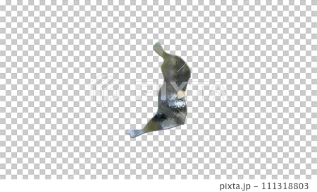 [Alpha Channel] 3D equilibrium projection of Osaka Prefecture that emphasizes the topography of Yao 111318803