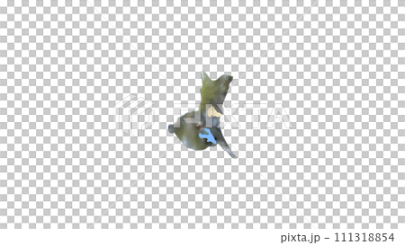 [Alpha頻道] 茨城縣3D透視投影突顯水戶地形 111318854