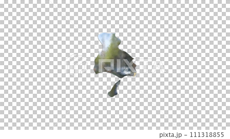 [Alpha Channel]強調尼崎地形的兵庫縣3D平衡投影 111318855