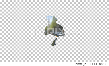 [アルファチャンネル]明石の地形を強調する兵庫県の3D平衡投影図形 111318865