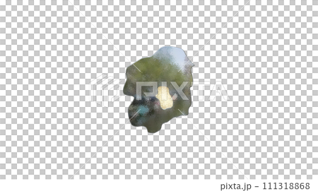 [アルファチャンネル]宇都宮の地形を強調する栃木県の3D平衡投影図形 111318868
