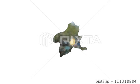 [アルファチャンネル]前橋の地形を強調する群馬県の3D平衡投影図形 111318884