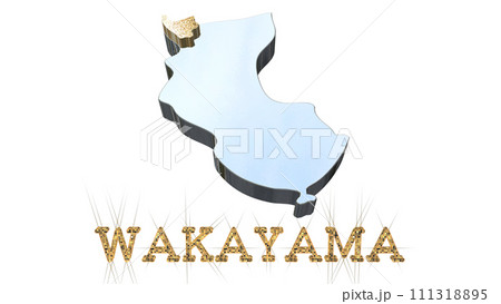 [アルファチャンネル]和歌山の地形を強調する和歌山県の3D透視投影図形 111318895