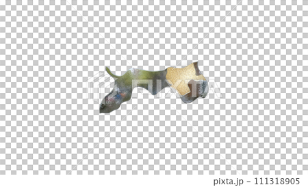 [アルファチャンネル]鳥取の地形を強調する鳥取県の3D平衡投影図形 111318905
