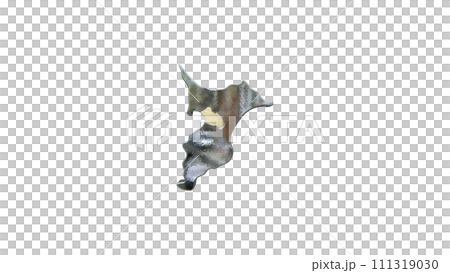 [アルファチャンネル]千葉の地形を強調する千葉県の3D透視投影図形 111319030