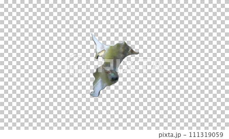 [アルファチャンネル]船橋の地形を強調する千葉県の3D透視投影図形 111319059