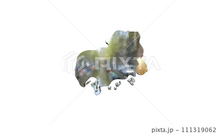 [アルファチャンネル]福山の地形を強調する広島県の3D透視投影図形 111319062