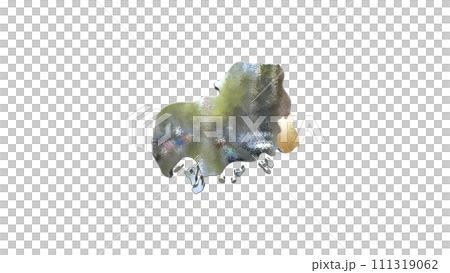 [アルファチャンネル]福山の地形を強調する広島県の3D透視投影図形 111319062