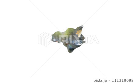 [アルファチャンネル]徳島の地形を強調する徳島県の3D透視投影図形 111319098