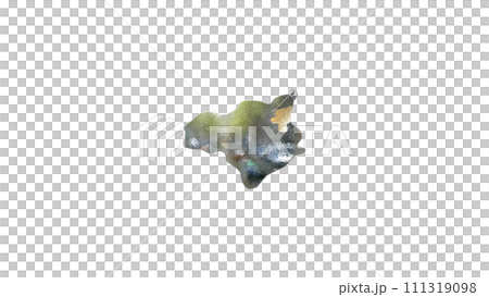 [Alpha Channel] 3D perspective projection figure of Tokushima Prefecture that emphasizes the topography of Tokushima 111319098