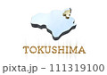 [アルファチャンネル]徳島の地形を強調する徳島県の3D透視投影図形 111319100