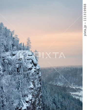 Snow forest on the rocks. snow-covered mountain trees on the cliff 111319988